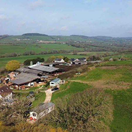 Park Gate, Colyton, Farm,Near Beaches-'Annie' Exterior foto